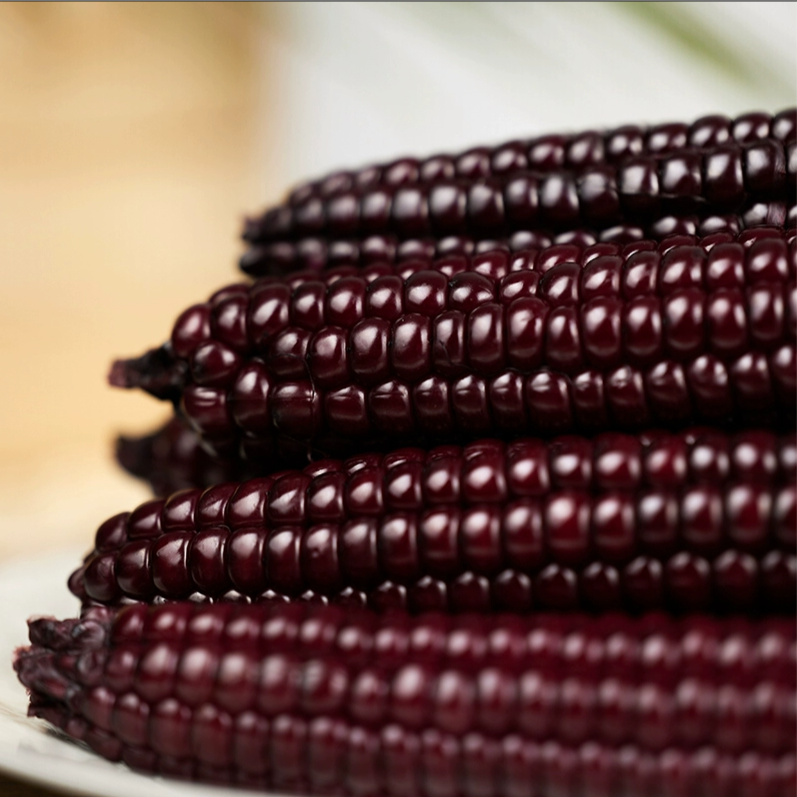 Ngô Nếp Nhật Bản - Hương Vị Tinh Tế Từ Xứ Sở Hoa Anh Đào