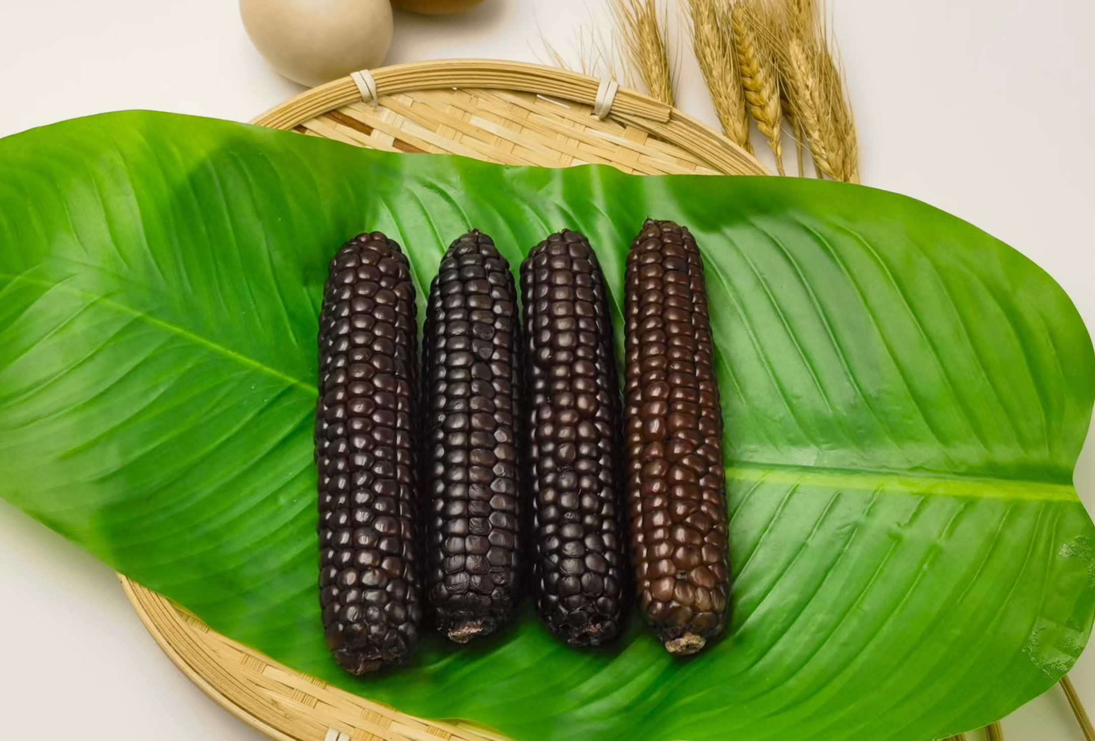 Ngô Nếp Tím Nhật Bản: Món quà tuyệt vời cho dịp Tết 2026