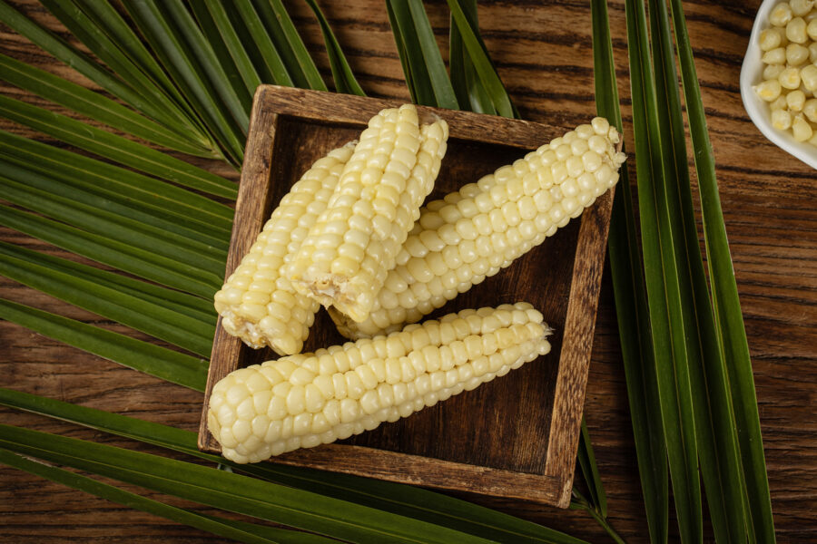 Ngô Nếp Nhật Bản - Hương Vị Tinh Tế Từ Xứ Sở Hoa Anh Đào