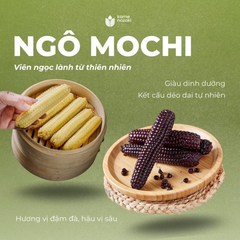 Ngô Nếp Kamenozoki Nhật Bản