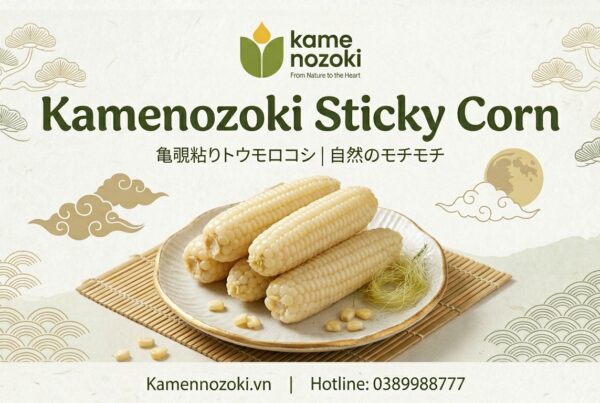 Ngô Nếp Nhật Bản Kamenozoki
