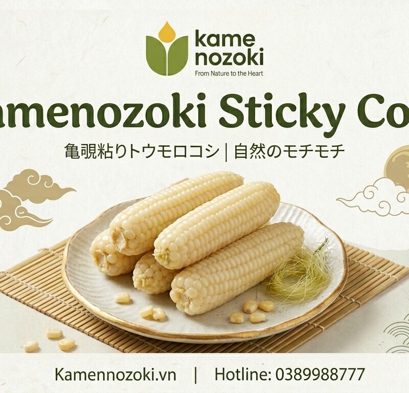 Ngô Nếp Nhật Bản Kamenozoki