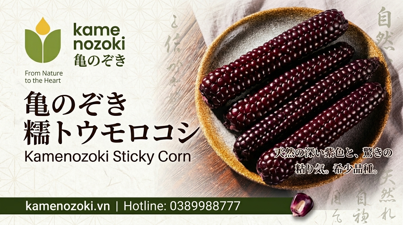 Ngô Nếp Nhật Bản Kamenozoki
